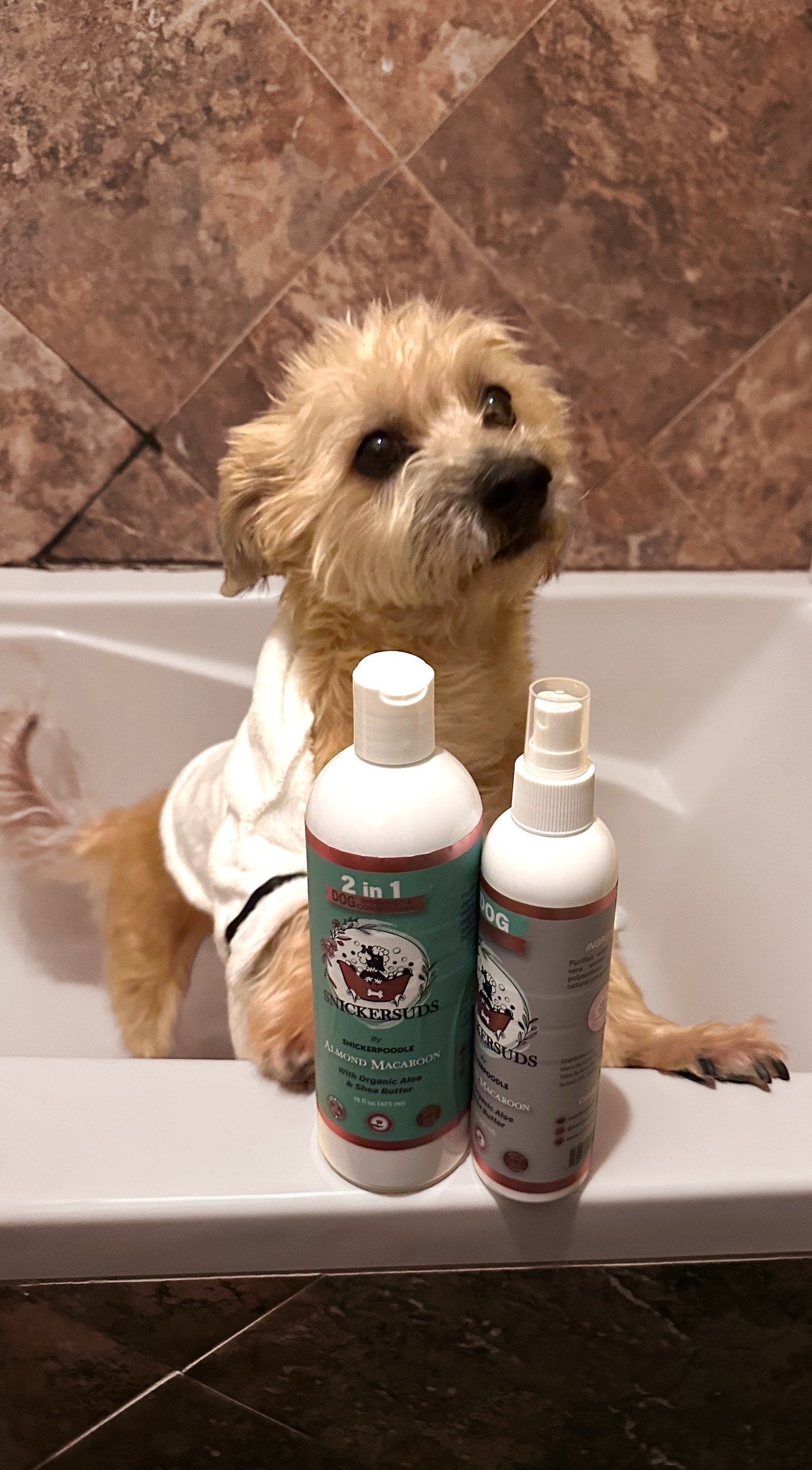 Dog spa Collection